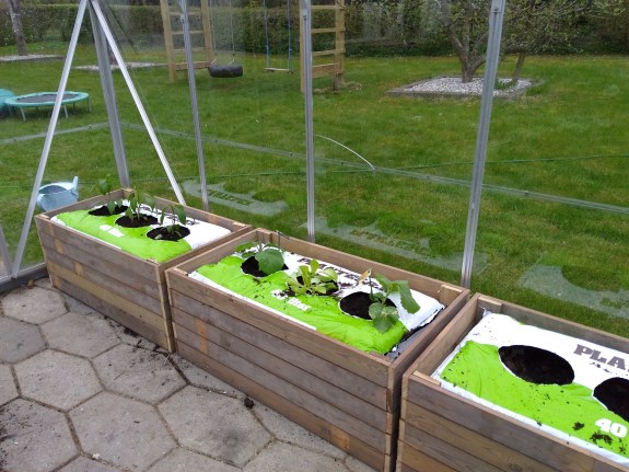 IMG_20180429_192351109